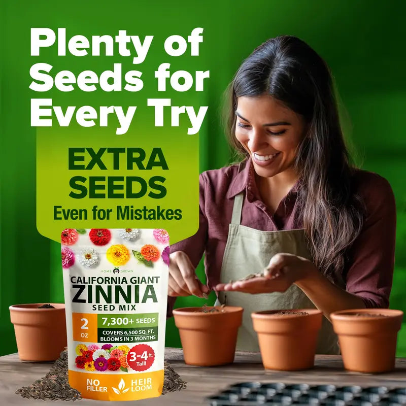 Zinnia Seeds (California Giant & Dahlia) – 100% Pure Heirloom Flower Seeds