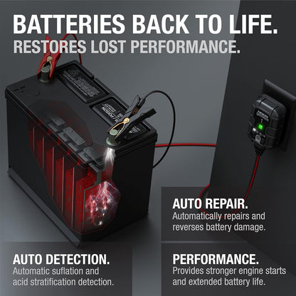 Never Face a Dead Battery Again—Charge, Maintain, and Repair