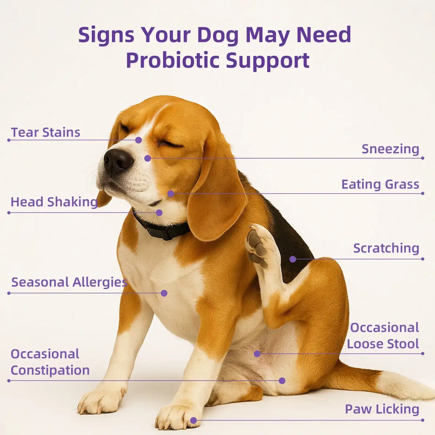 8-in-1 Total Health Support Dog Multivitamin Chews