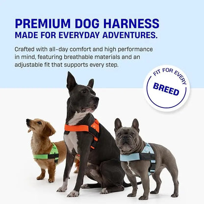 The Indestructible Chew-Proof & No-Pull Dog Harness