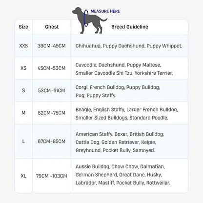 The Indestructible Chew-Proof & No-Pull Dog Harness