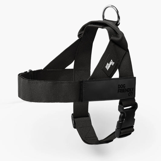 The Indestructible Chew-Proof & No-Pull Dog Harness