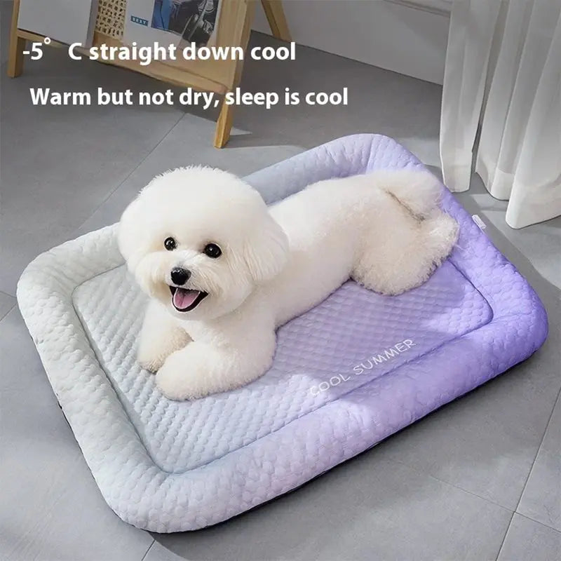 Keep Pets Cool Instantly