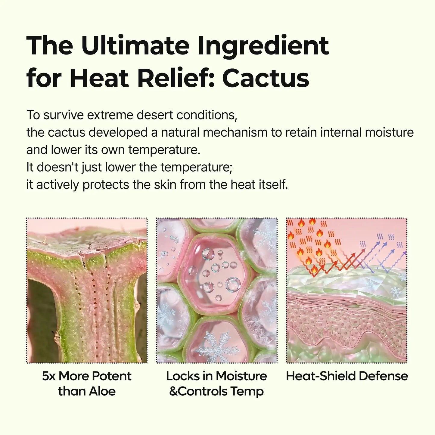 Instant Anti-Puffing & Cooling Facial Ampoule