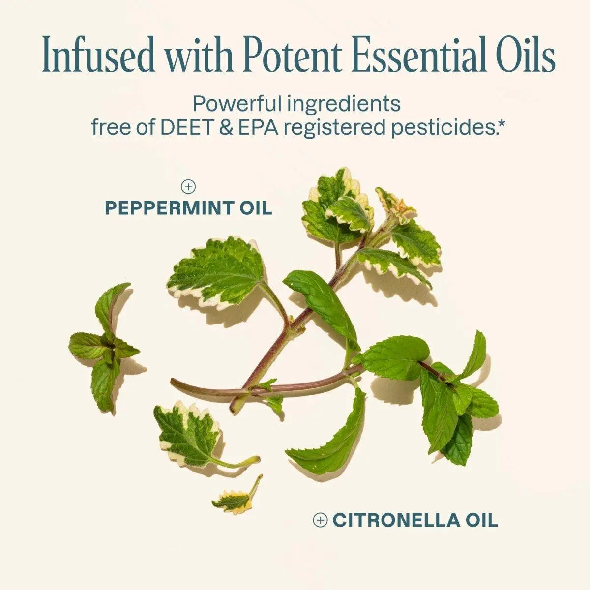 Cliganic Mosquito Repellent Patches