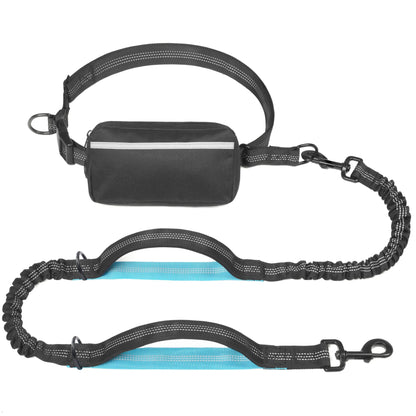 Experience Effortless Hands-Free Dog Walking