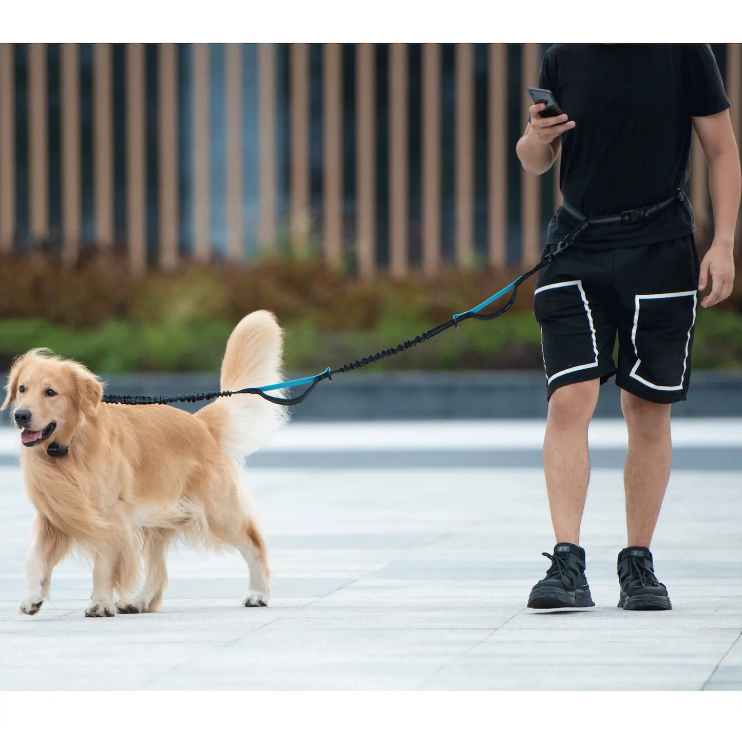 Experience Effortless Hands-Free Dog Walking