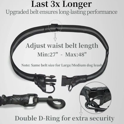 Experience Effortless Hands-Free Dog Walking