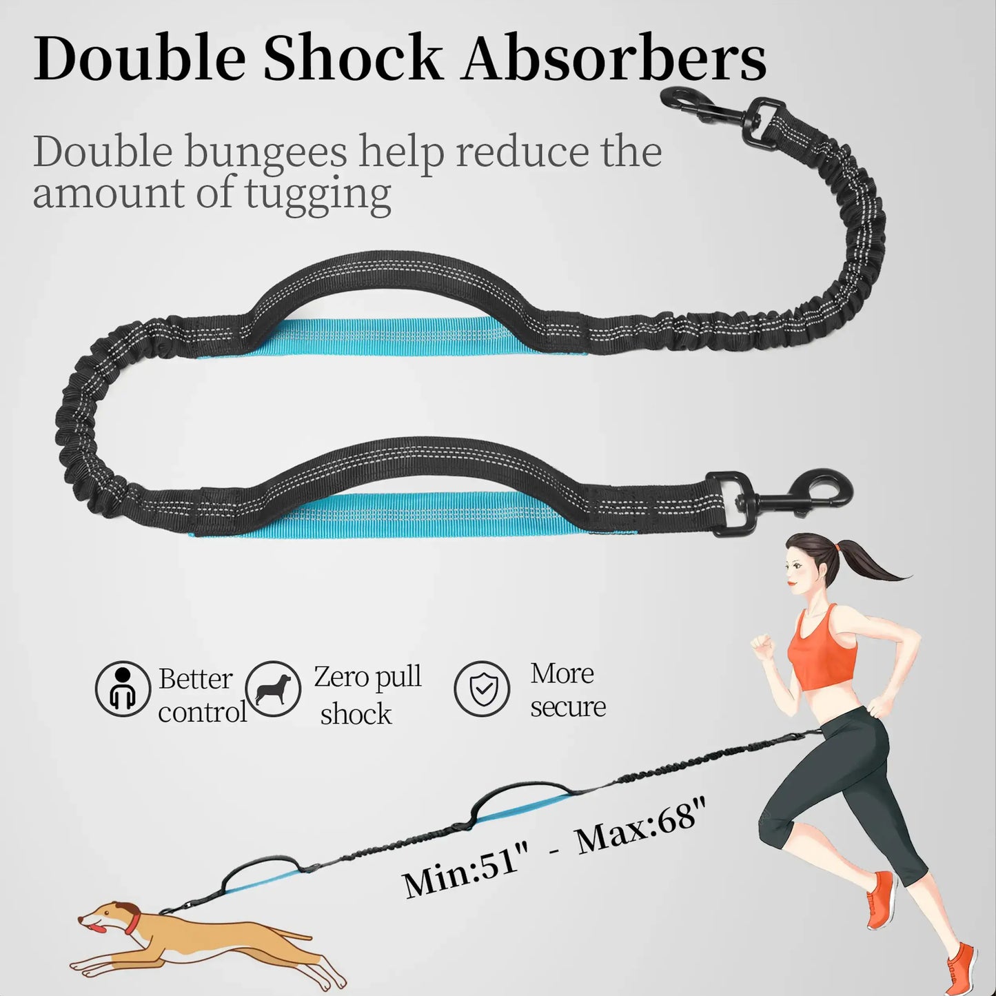 Experience Effortless Hands-Free Dog Walking