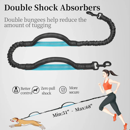 Experience Effortless Hands-Free Dog Walking