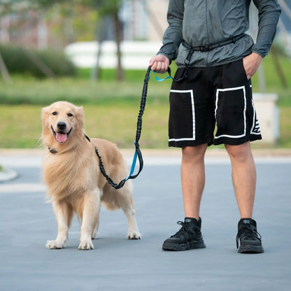 Experience Effortless Hands-Free Dog Walking