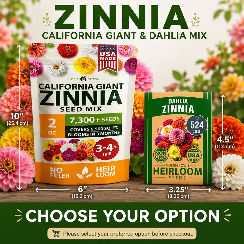 Zinnia Seeds (California Giant & Dahlia) – 100% Pure Heirloom Flower Seeds