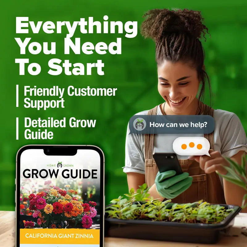 Zinnia Seeds (California Giant & Dahlia) – 100% Pure Heirloom Flower Seeds